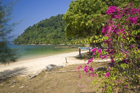 Tropical beach resort with pink bougainvillea.