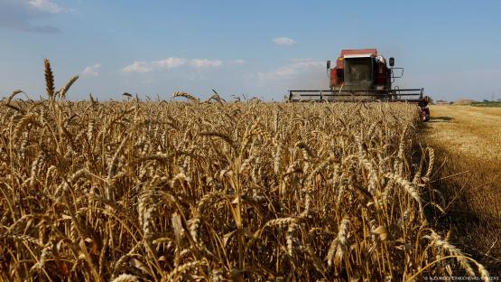 Theme Pack | Grain trade Grain deal Grain deal Ukraine Russia