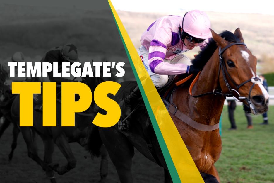 Horse racing tips: ‘Quick turnaround shows he’s ready to win’ – Templegate’s Sunday NAP