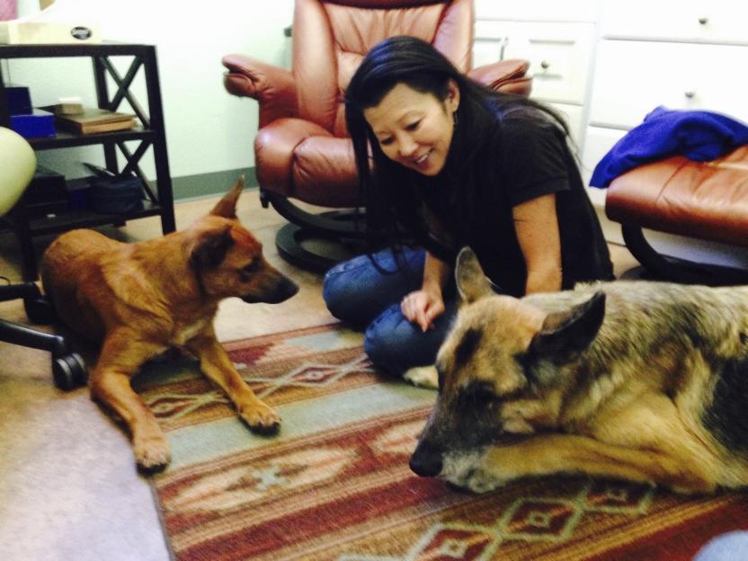 Woman with two dogs on a rug.