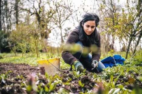 Woman crouching in a garden weeding.