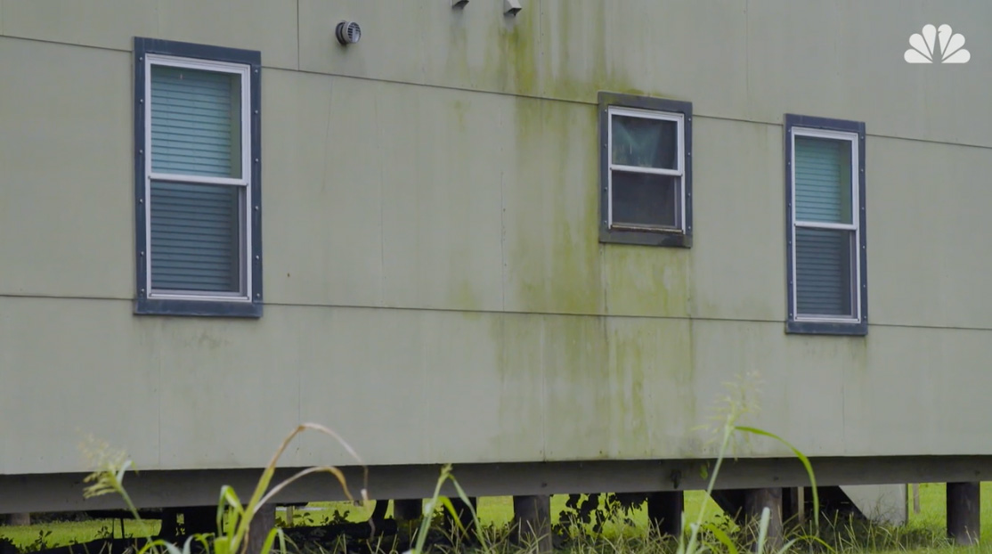 Mold-damaged house exterior with three windows.