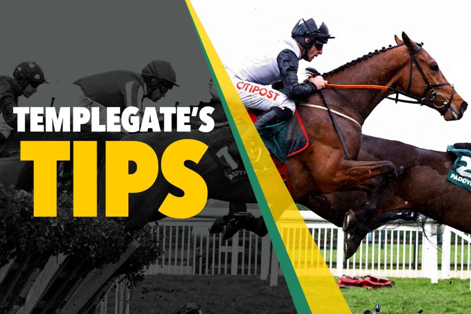 Horse racing tips: ‘Huge untapped potential as a sprinter’ – Templegate’s huge 11-1 Monday NAP