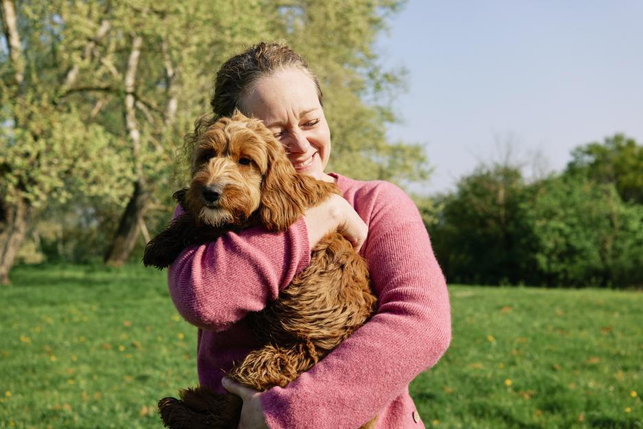 New pill that makes your beloved dog live longer could drop in just a year, reveal bosses after clearing key hurdle