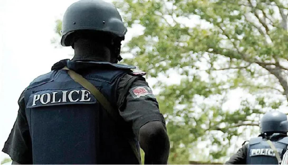 Borno police confirm recovery of child abuse victims, vow justice