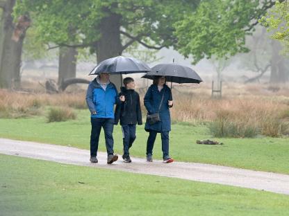 Family walking in a park under umbrellas in the rain.