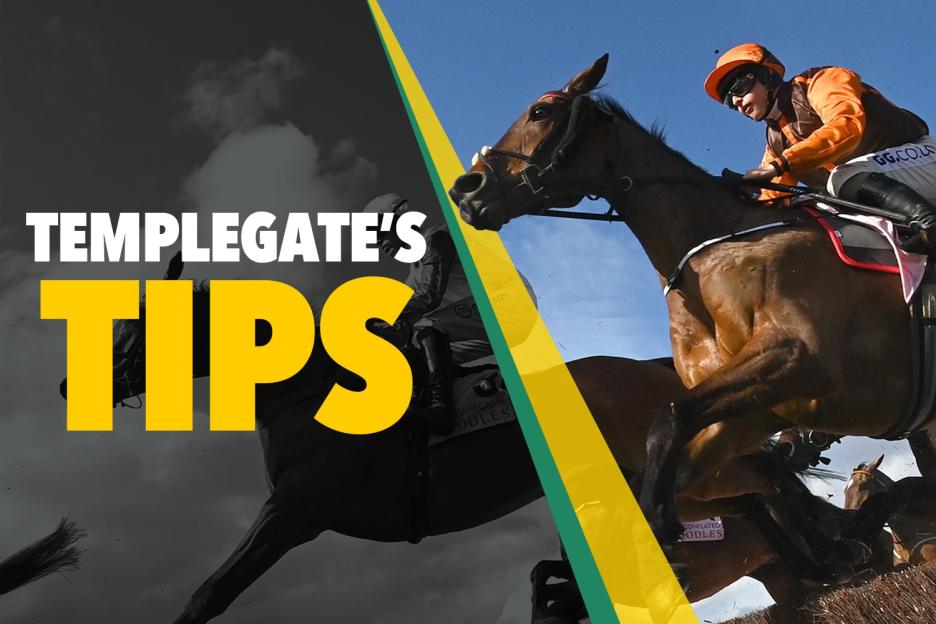 Horse racing tips: ‘She’s in excellent form and bound to break through’ – Templegate’s Tuesday NAP