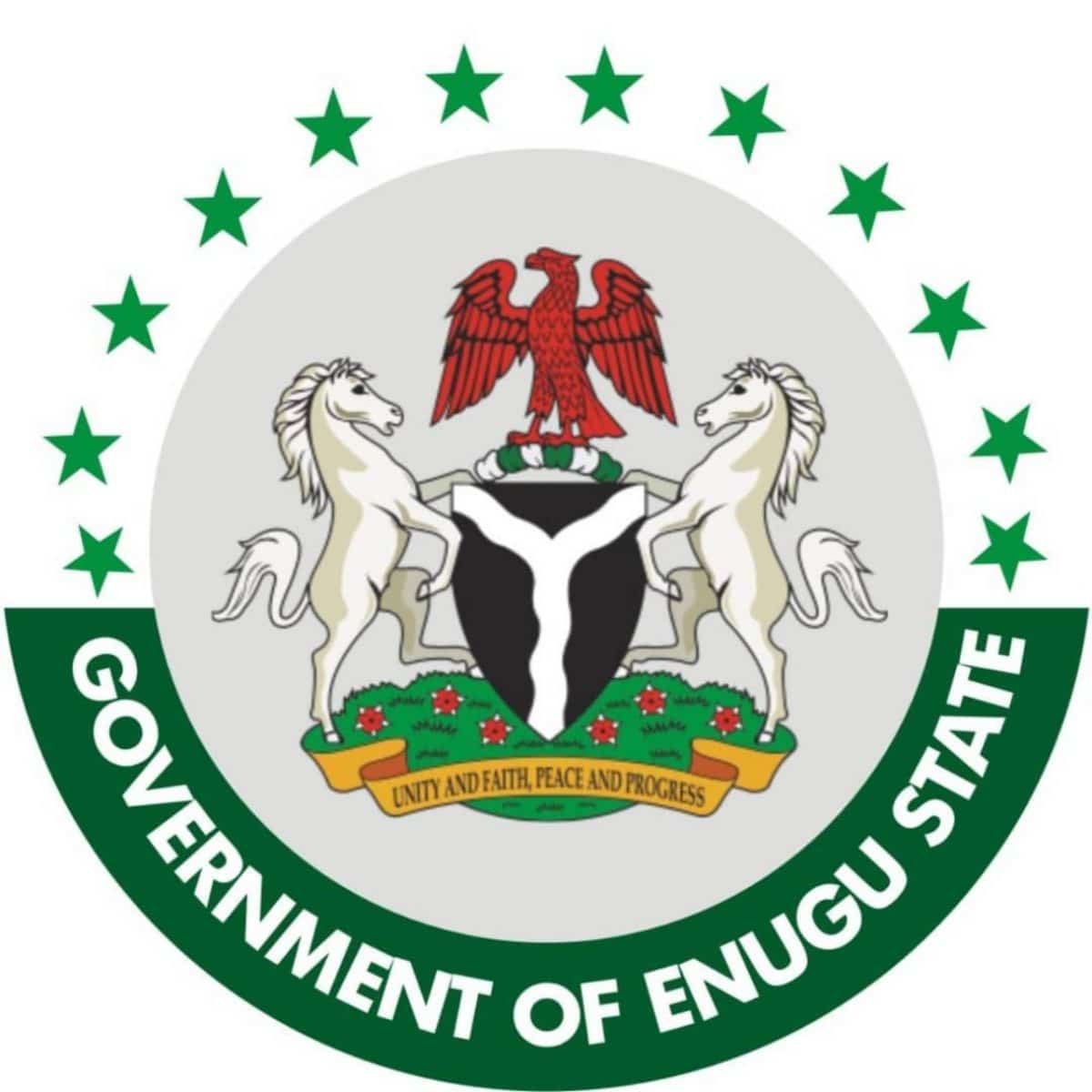 Enugu govt urged to upgrade state library