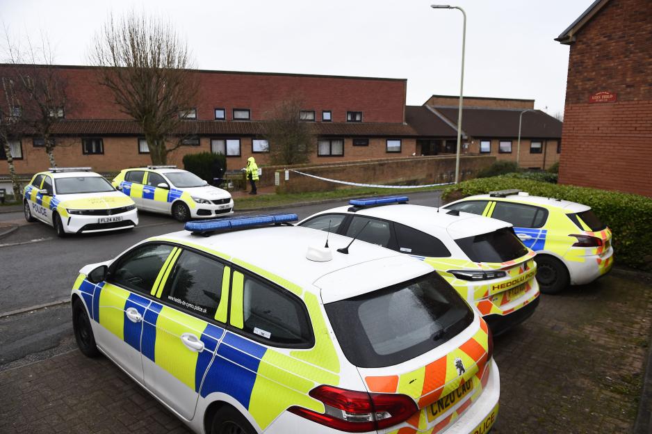 Police cars parked at a crime scene.