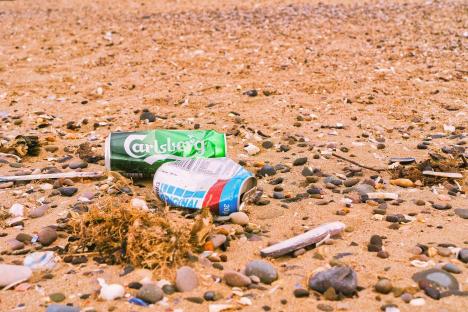 Litter on a sandy beach.