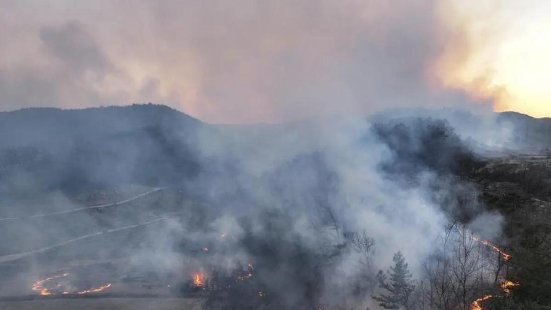 Wildfires kill four in South Korea, injure six