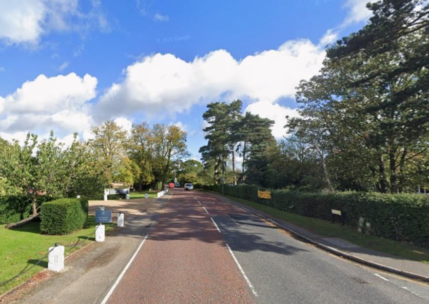 B1007 Stock Road, view of road and trees.