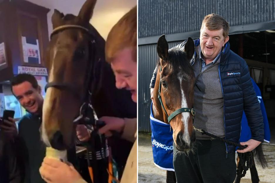 Guinness-drinking Grand National horse sees odds slashed for £1m race as bookies say ‘money has not stopped coming’