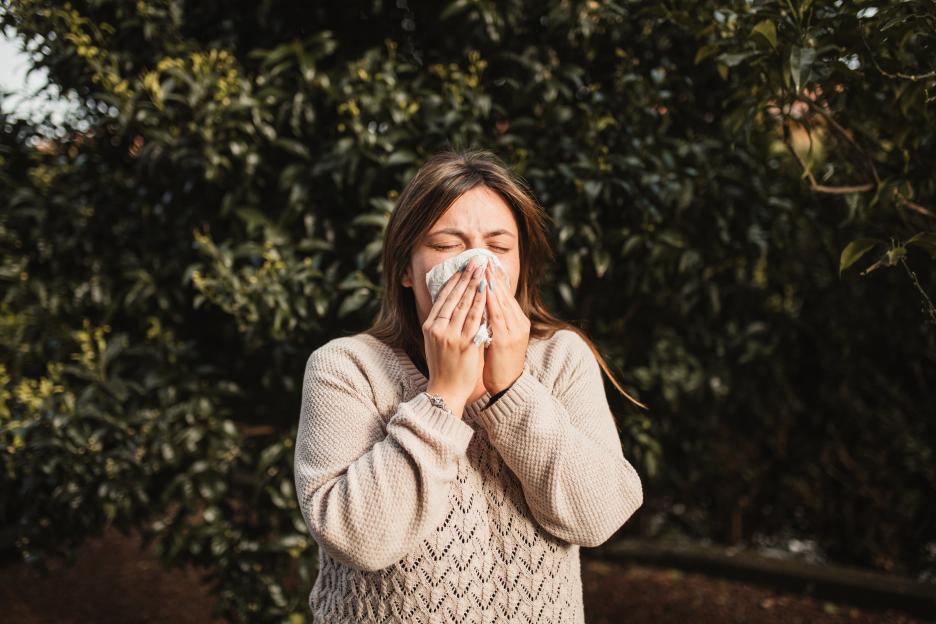 Warning to millions with hayfever as Met Office issues ‘very high’ pollen alert – check map of hotspots to avoid