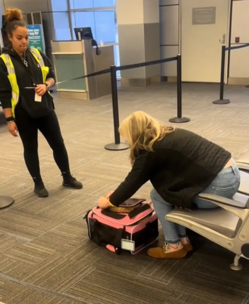 Woman forcing dog into small carry-on bag at airport.