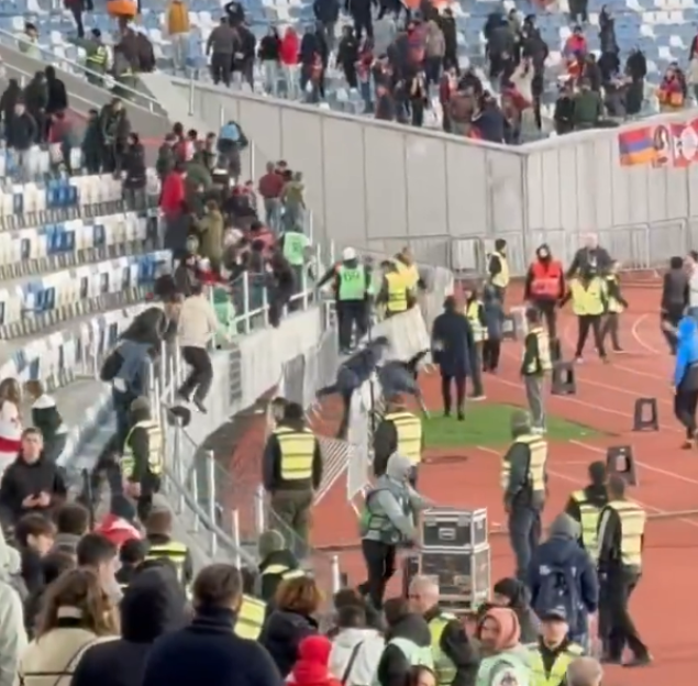 Stadium security personnel intervening in a crowd disturbance.