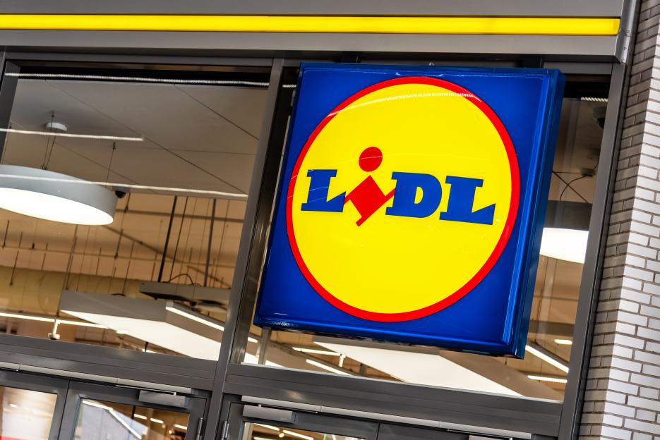 Lidl launches £15 version of Aldi’s viral summer buy that Brits love for adding instant colour & cheer to their gardens