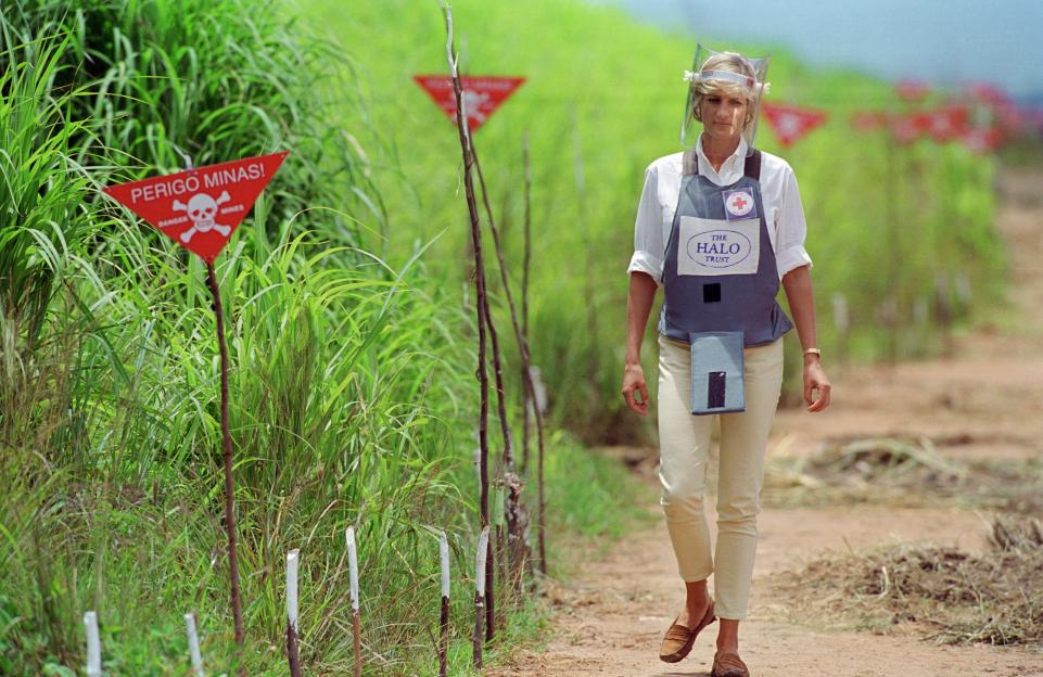 Former defence sec Ben Wallace urges Britain to WITHDRAW from global landmines ban championed by Princess Diana