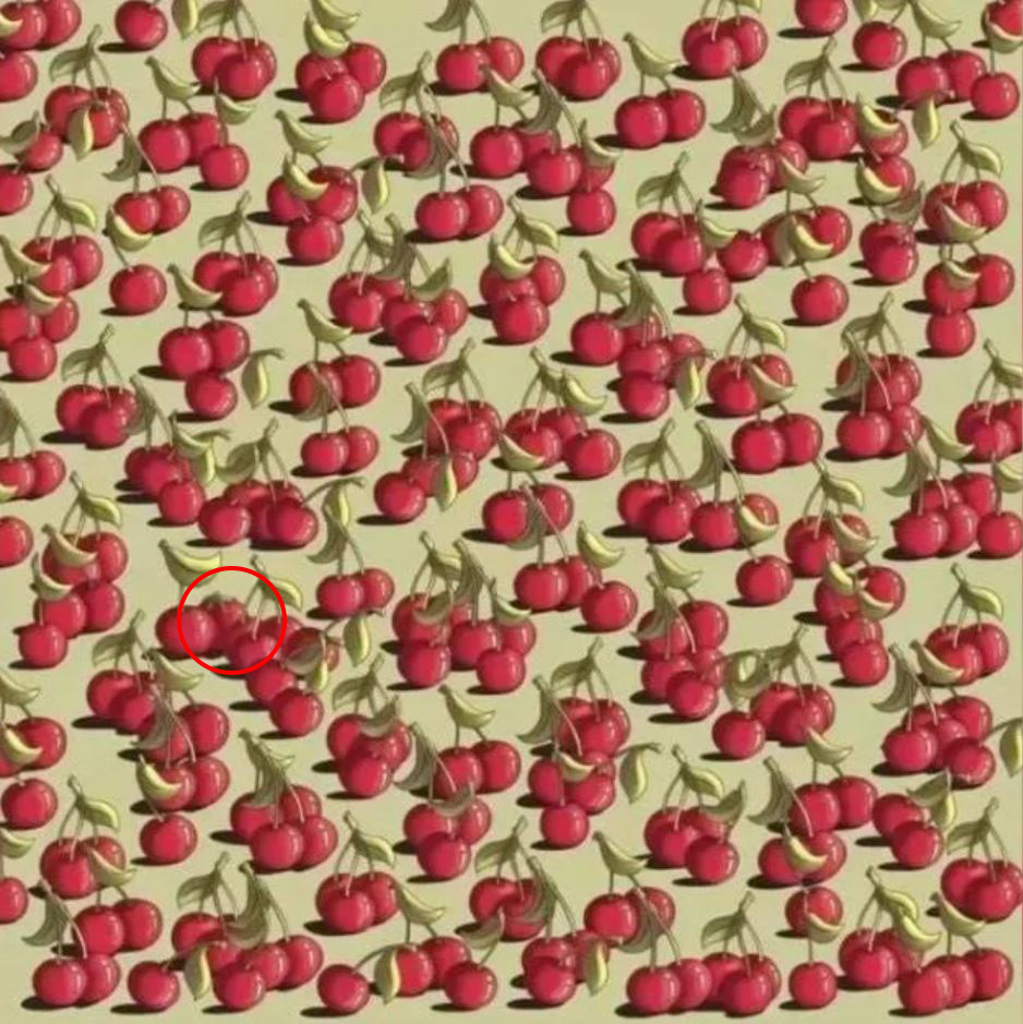 Illustration of a brain teaser: find the tomato hidden among many cherries.