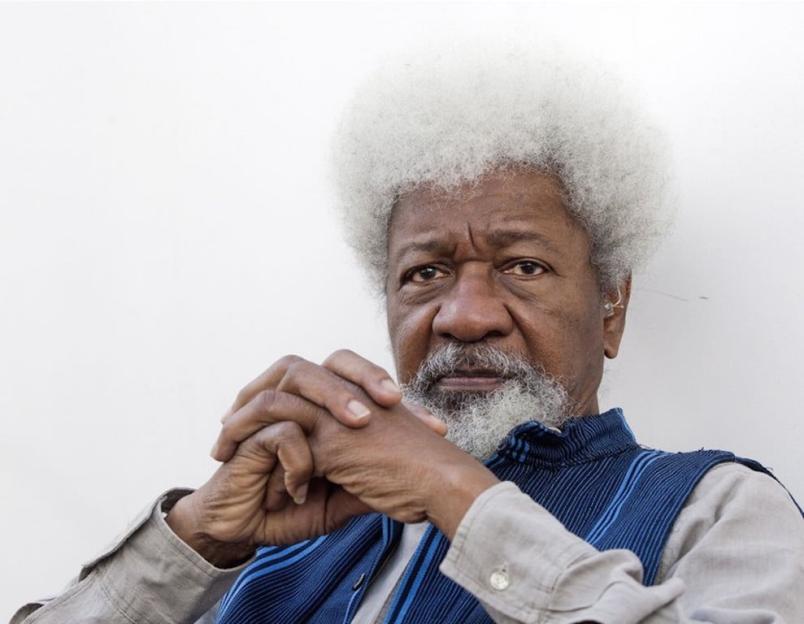 Soyinka blasts Tinubu’s emergency rule in Rivers, describes it as ‘excessive’