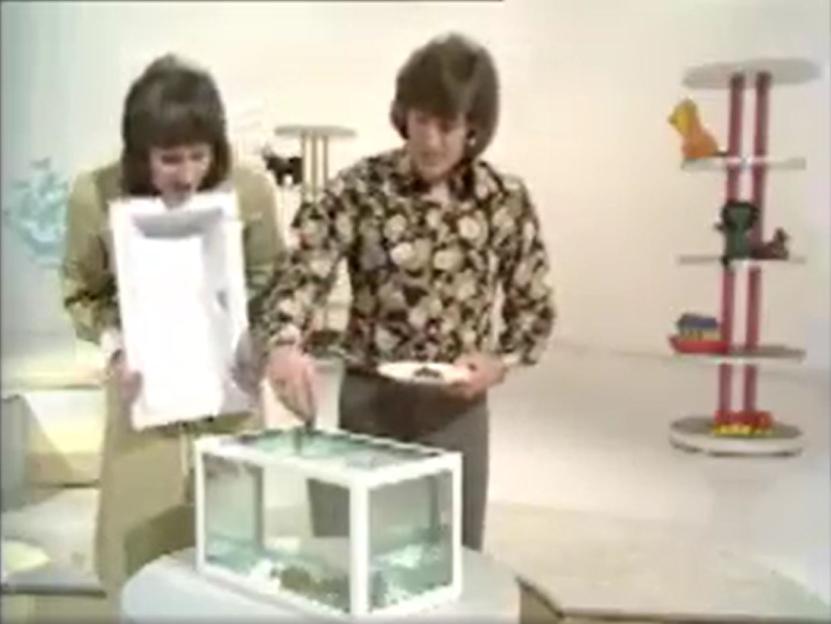 Two people on a television show with a fish tank and meat.