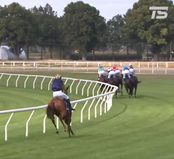 Horse race, several horses and jockeys rounding a turn.