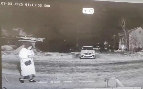 Security camera footage of a woman walking near a car at night.