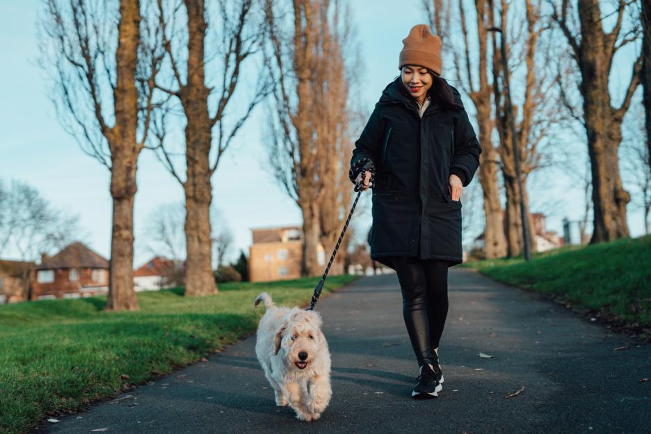 The £1,000 fine dog owners face for common mistake while on a walk this spring – here’s how not to get caught out